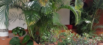 Beautiful country house in the magical town of Malinalco