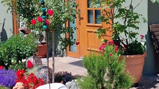 Una casa con fachada verde, puerta de madera y un pequeño jardín con diversas plantas y flores.