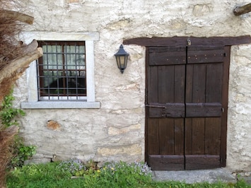 Picture 6