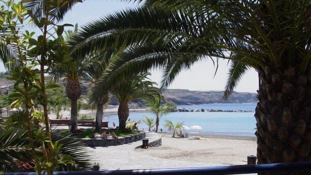 A beach view with palm trees, a stone wall, and a clear blue sea. - Playa San Juan, 2 room apartment close to the beach me WiFi (Playa San Juan)