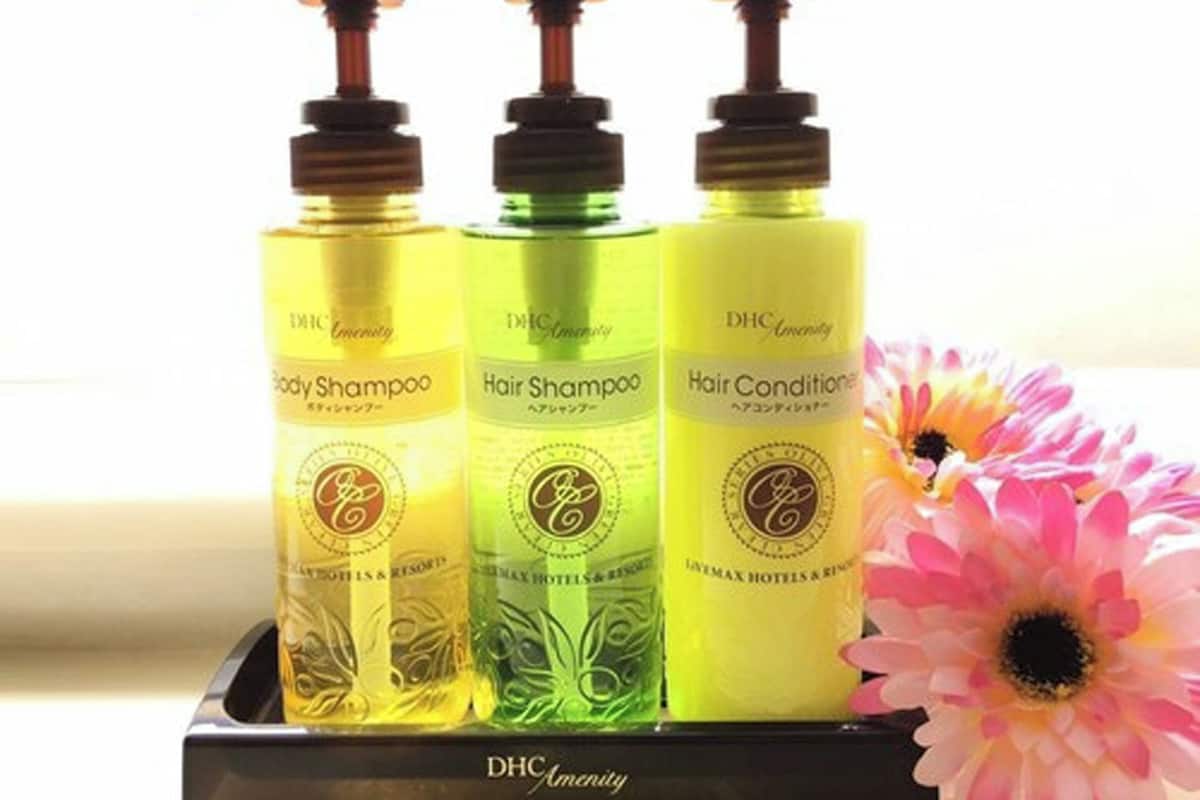 combined shower/bathtub, free toiletries, hair dryer, slippers