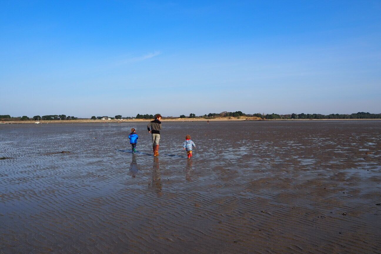 A wide, open beach with a clear sky.