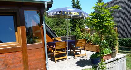 Romantic roof-only house Large basement with asbestos-free roof Winter garden