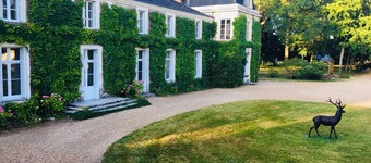 Superb castle with pool