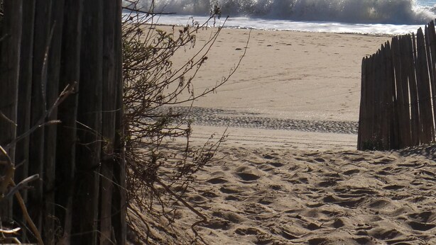 Une plage de sable avec une clôture en bois au premier plan et des vagues qui déferlent sur le rivage.