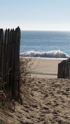 VENDEE HOUSE NEAR OCEAN IN THE HEART OF THE FOREST BETWEEN SEA AND MARAIS