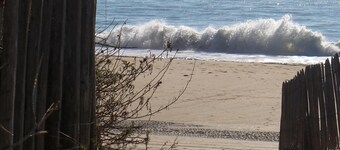 VENDEE HOUSE NEAR OCEAN IN THE HEART OF THE FOREST BETWEEN SEA AND MARAIS