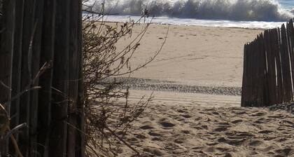 VENDEE HOUSE NEAR OCEAN IN THE HEART OF THE FOREST BETWEEN SEA AND MARAIS