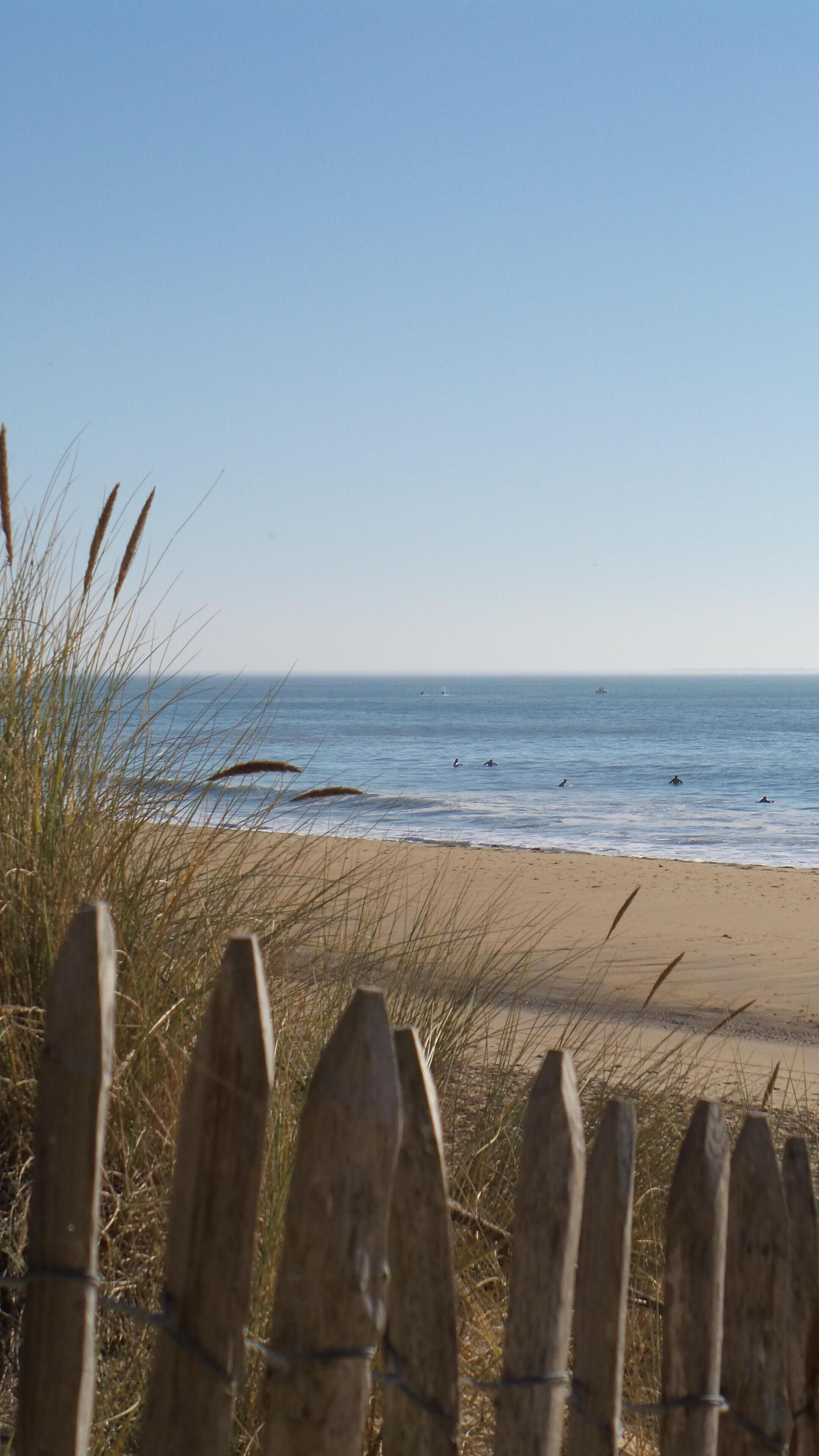 Ein Strand mit einer Holzzahlung im Vordergrund und dem Meer im Hintergrund.