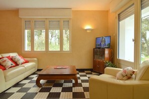 Télévision, cheminée