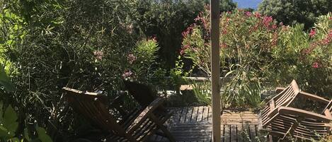 Terrein van de accommodatie