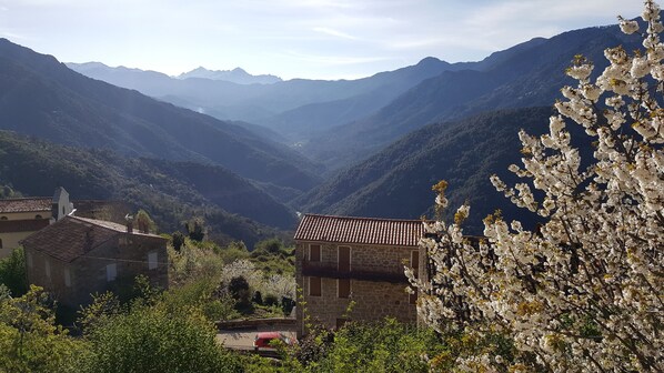 Paisatge de muntanya amb edificis de pedra tradicionals, una carretera i arbres amb flors.