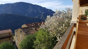 Property grounds - A green setting in a village 20 minutes from the beaches (Letia)