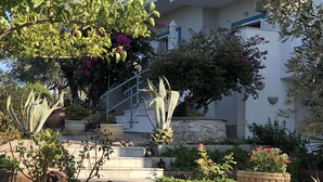 A landscaped garden with a variety of plants and a large urn in the foreground. - Villa KoKa - A small paradise near Ermioni (Petrothalassa Ermioni)