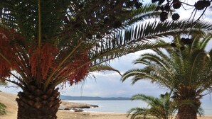 A beach with palm trees and a boat on the shore. - Villa KoKa - A small paradise near Ermioni (Petrothalassa Ermioni)