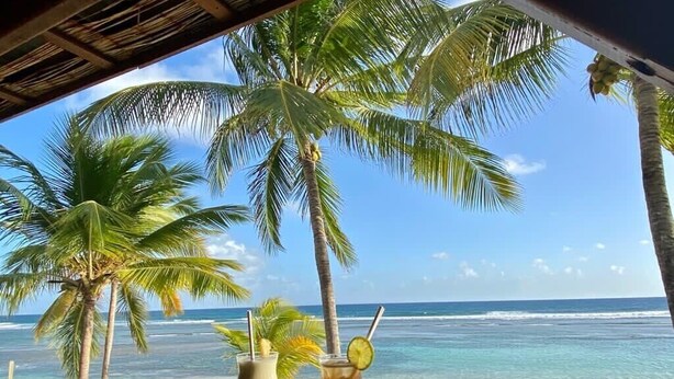 A beach view with two drinks on a table, palm trees, and the ocean. - Panoramic sea view villa - private beach access (Saint-François)