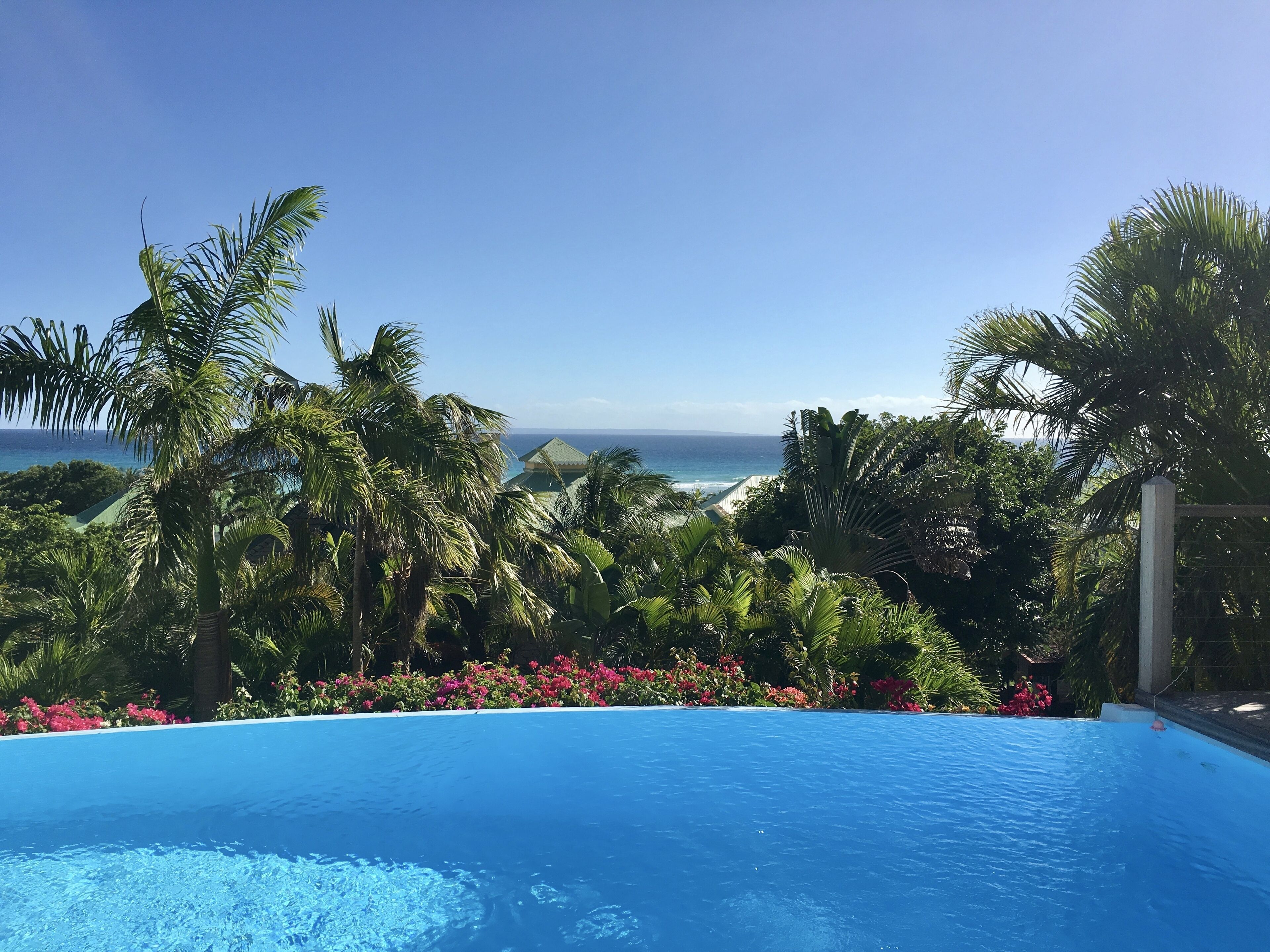 Une piscine d’eau cristalline, d’un bleu éclatant, offrant une vue sur l’océan et la végétation tropicale.