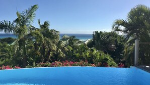 A clear blue pool with a view of the ocean and tropical vegetation. - Panoramic sea view villa - private beach access (Saint-François)