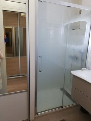 Shower, hair dryer, toilet paper