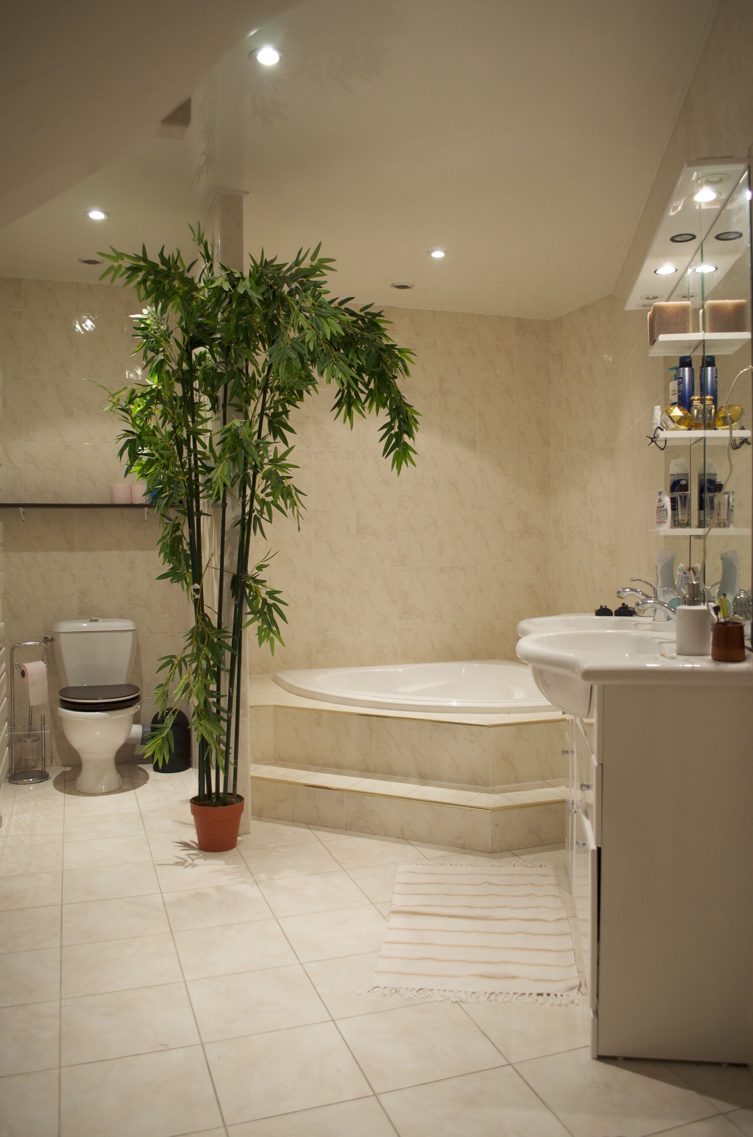 The House of the Artist