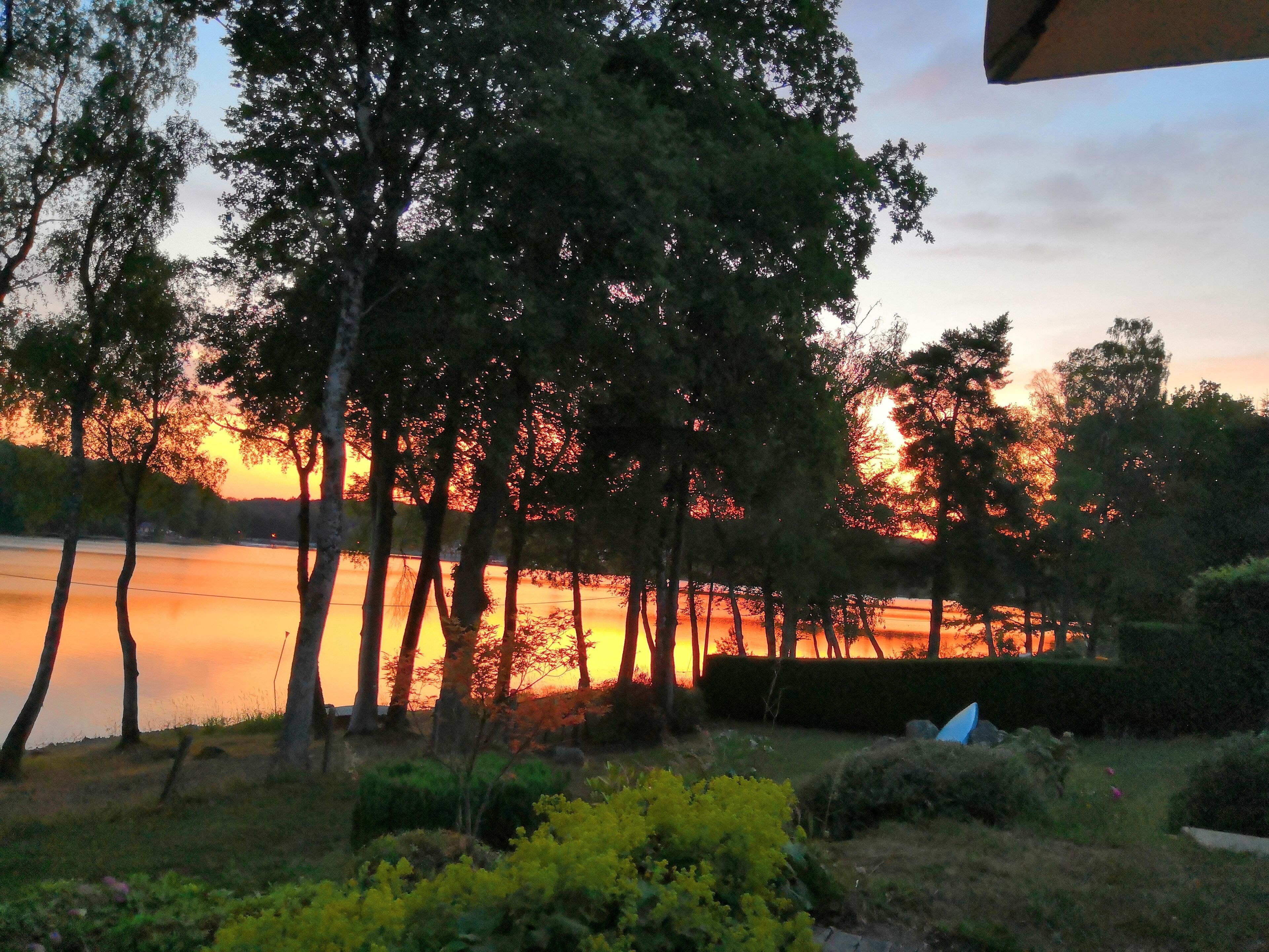 Panorama al tramonto su un lago, con alberi e un siepe in primo piano.