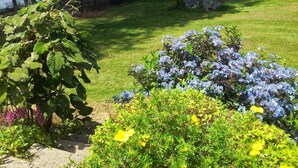 A garden with a variety of plants and flowers, a grassy area, and a body of water in the background.