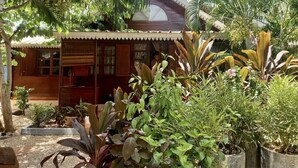 A wooden house with a porch, surrounded by various tropical plants and a palm tree.