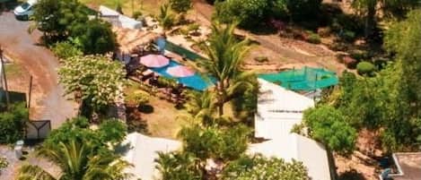 Una propiedad costera con piscina, exuberante vegetación y vista al océano.