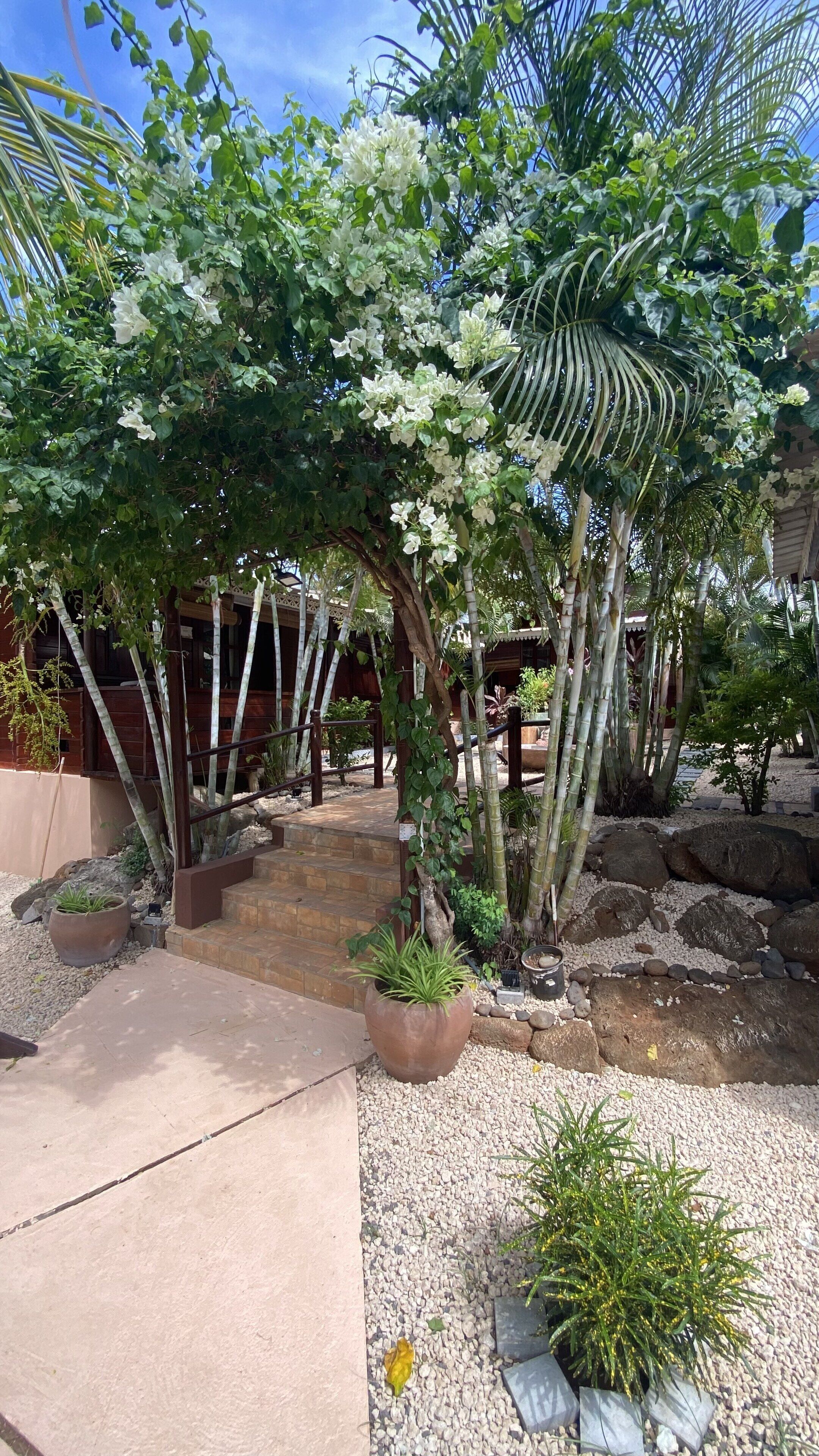 Enceinte de l’hébergement