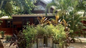 A serene garden with a central water feature, surrounded by various potted plants and a small Buddha statue.