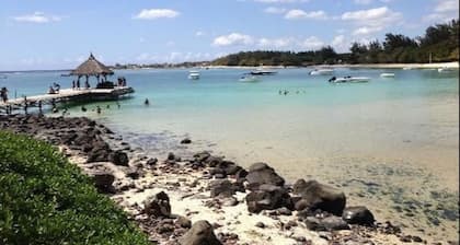 The Case Creole Wood (WOOD CHERIE)