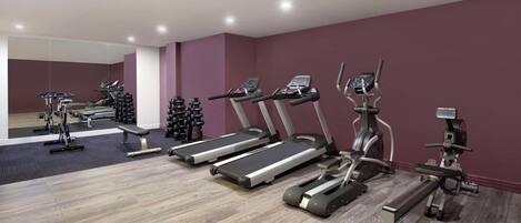A gym with treadmills, elliptical machines, and weight benches.