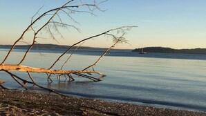 Tyyni järvi, jonka yllä puun oksa ulottuu veden pinnalle, kauempana näkyvä saari ja purjevene.