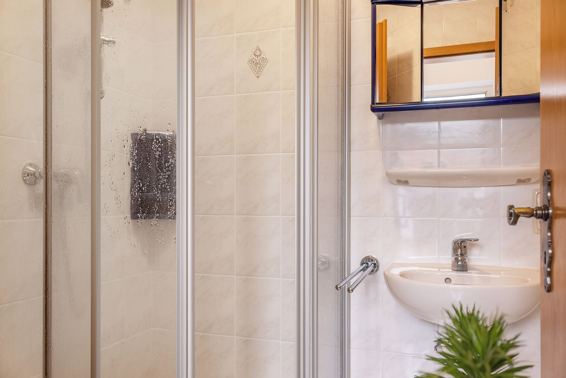 Een badkamer met een glazen douchedeur, een wastafel met spiegel erboven en een potplant.