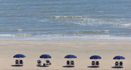 Ocean and Pool View, Beautifully furnished large, 2nd floor, 1 bedroom condo.