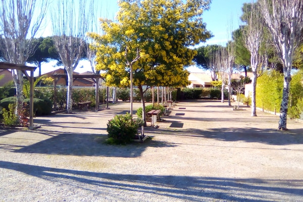 Property grounds
