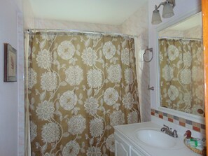 Ensemble douche/baignoire, sèche-cheveux, serviettes fournies, savon