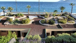 Un jardí al terrat amb diverses plantes i vistes al mar.