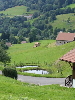A rural landscape with a small pond, a wooden fence, and several houses with red roofs.