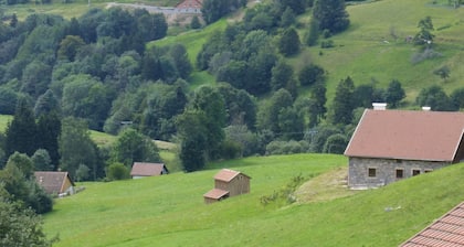 Chalet familial trĂšs confortable dans les Hautes Vosges de maximum 9 personnes