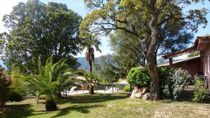 A garden with various trees and a fenced area.