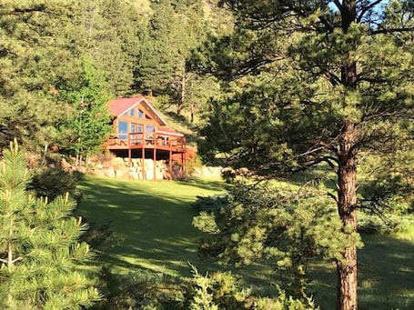 Property grounds. Room 4 @ Montana's Wolf Creek Lodge