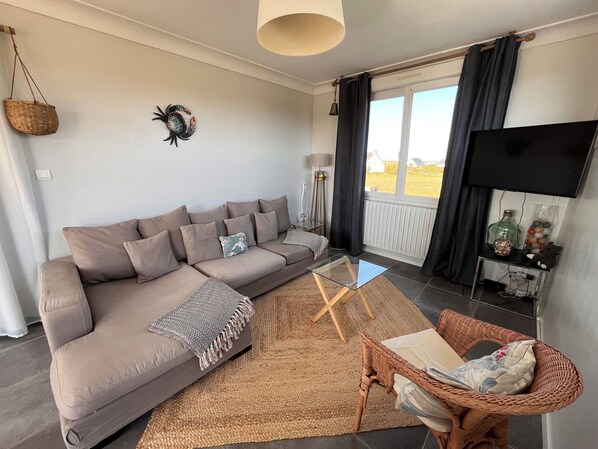 Téléviseur, foyer, lecteur de DVD, sélection de films