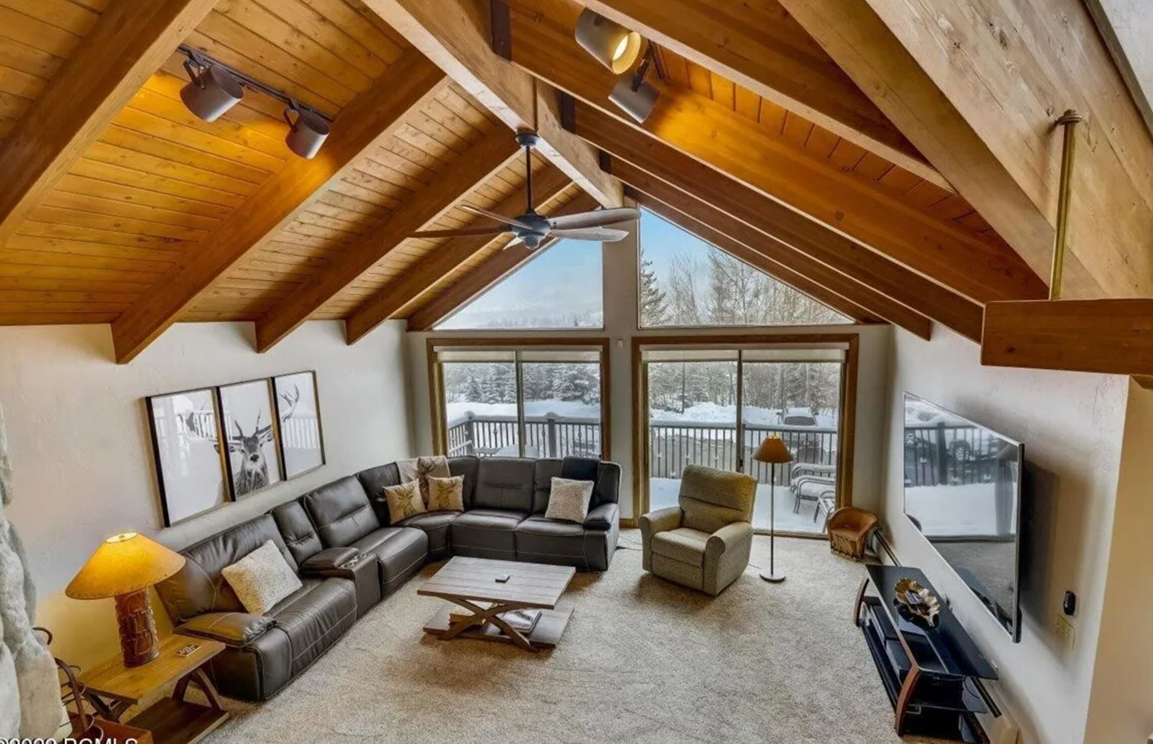 智能電視、壁爐、電子遊戲、DVD 播放機