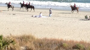 A beach with people riding horses and walking along the shore. - Amazing Views - Ocean Front 3BR Condo! (Myrtle Beach)