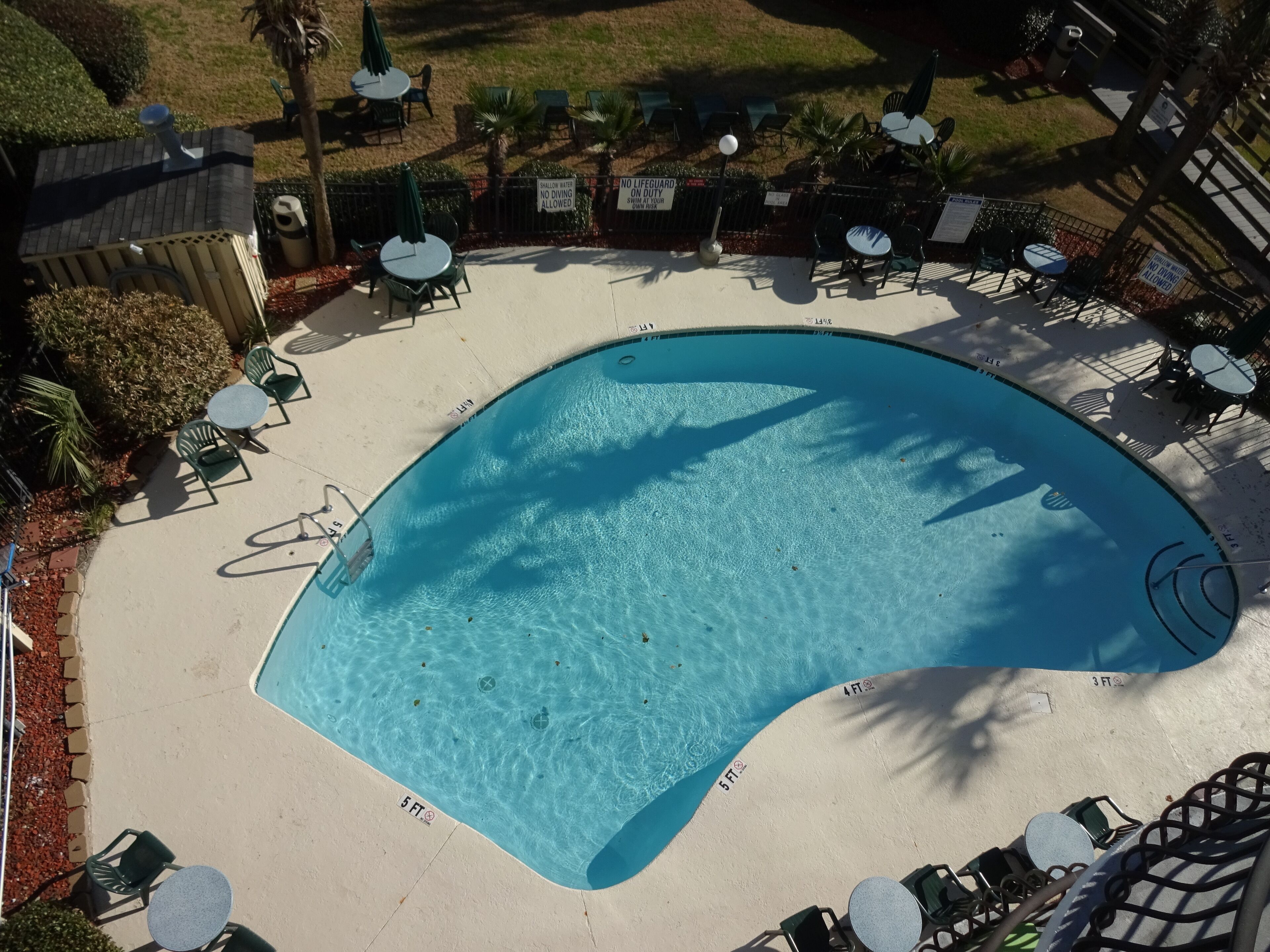 Une piscine aux bords incurvés, avec une eau d’un bleu limpide, entourée de chaises et de parasols verts.
