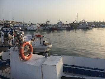 Santa Pola Fishermen port