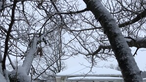 A snow-covered house with a front porch and steps leading to the entrance.