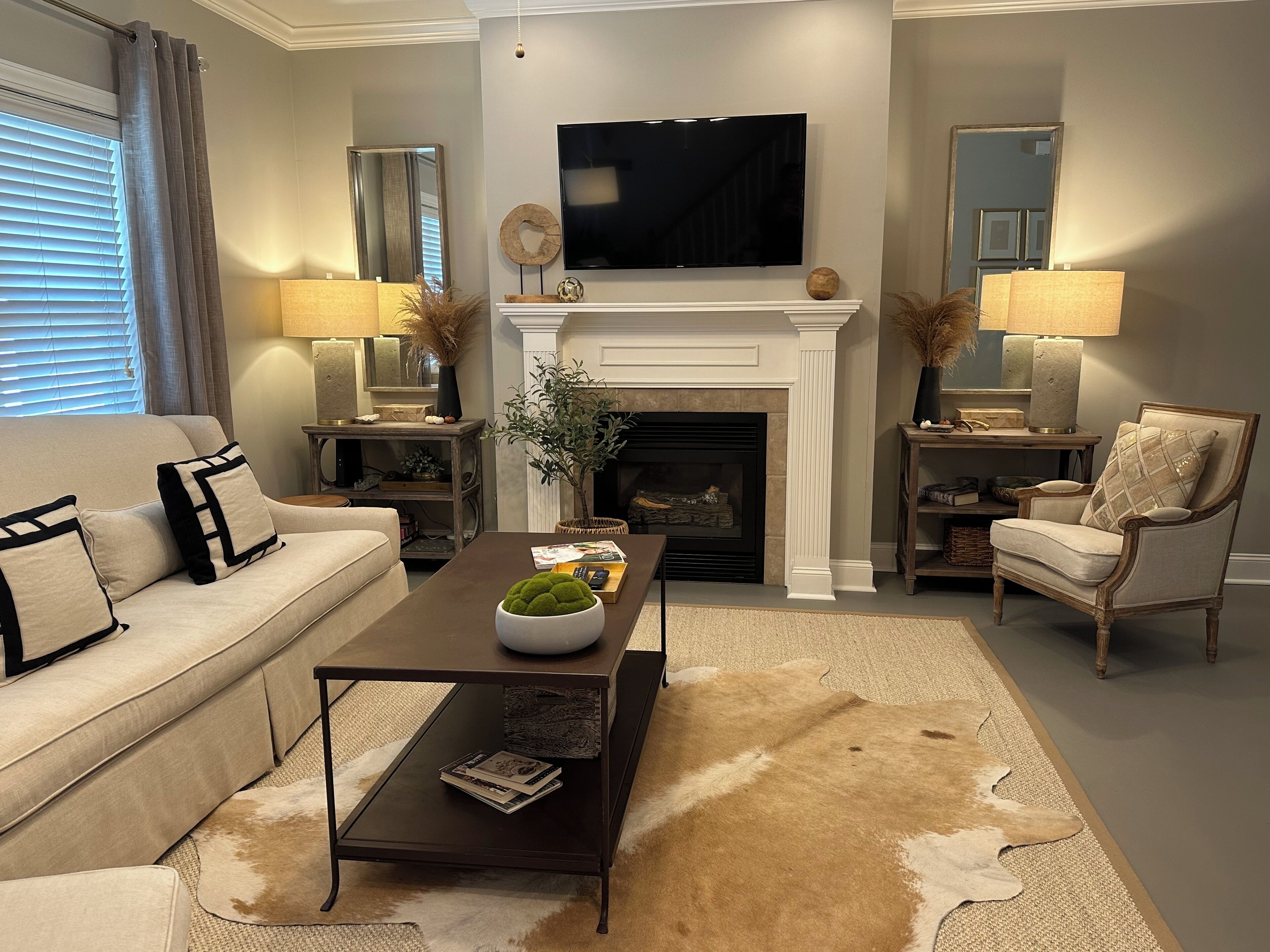 Smart TV, fireplace, books