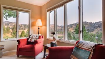 Smart TV, chimenea, reproductor de DVD y libros